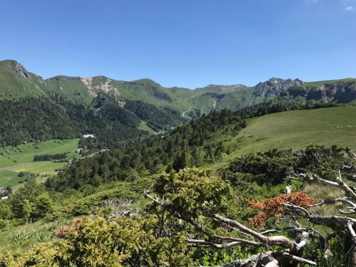 Apartment Appartement T1 Avec Ascenseur Au Centre De Mont-Dore Pour 4 Personnes, Non Accessible Pmr - Fr-1-608-60 France